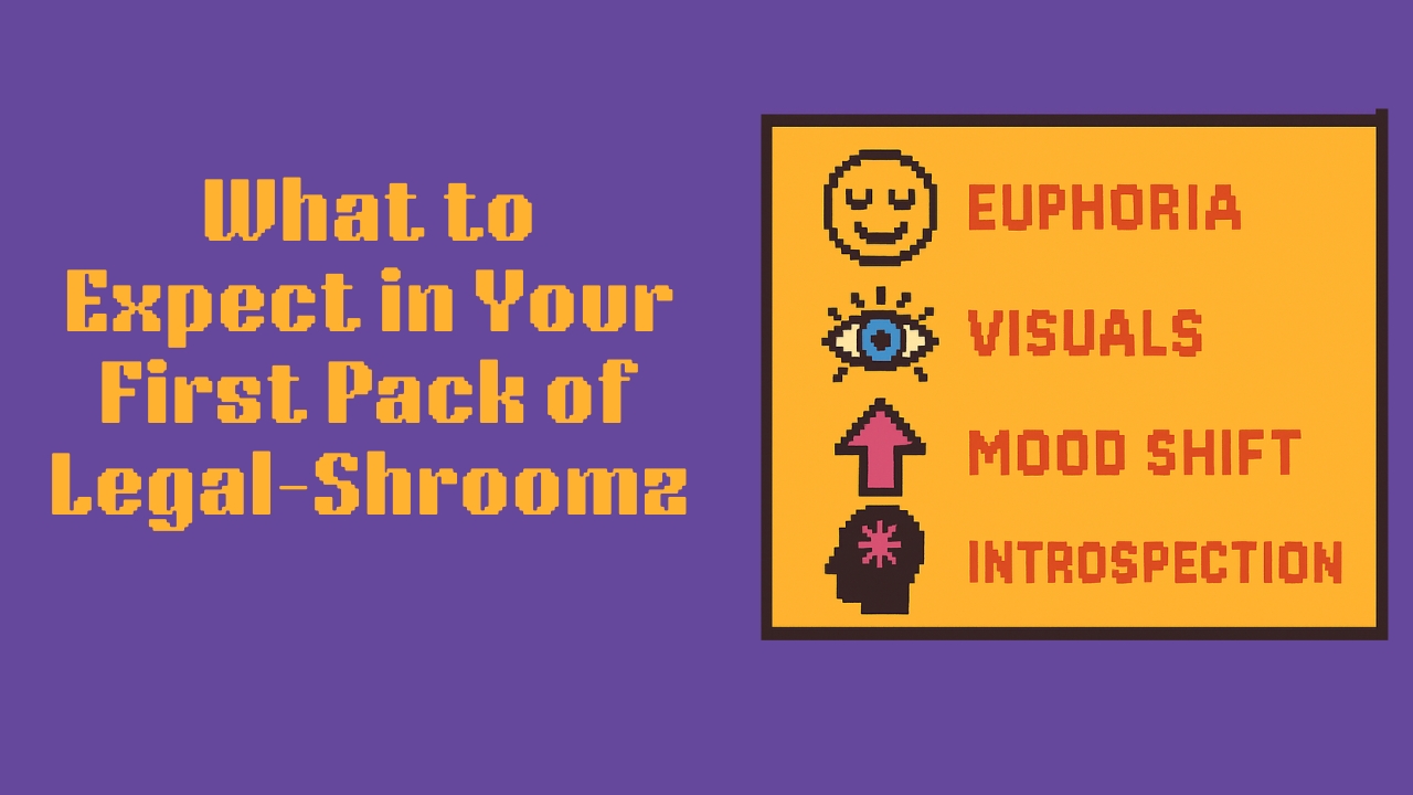 Retro pixel art chart listing Legal-Shroomz effects: euphoria, visuals, mood shift, and introspection on a purple background.